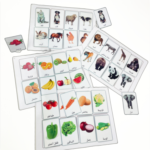 ⁦لوحات مطابقة الصور⁩ - الصورة ⁦2⁩